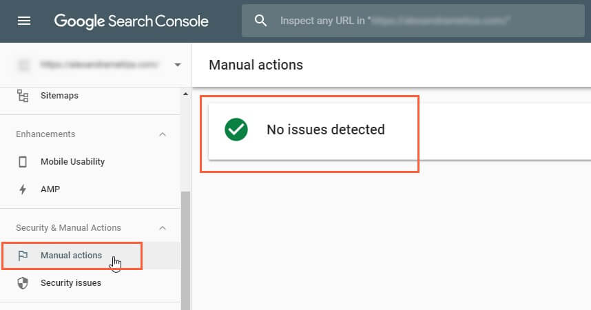 Manual Actions Google Search Console Example